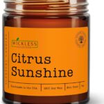 Wickless Candles for Candle Warmer Lamp, Many Scents to Choose, 100% Non-Toxic Soy Wax, Scented Candle Melts for Warming Plate, Handmade in The USA (Citrus Sunshine)