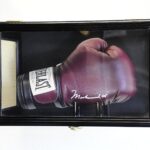 Clear Viewing Boxing Glove Display Case Cabinet Wall Rack/Free Standing